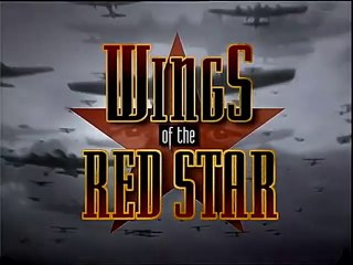 Wings of the Red Star (8/13) : Tu-95 - The Nuclear Bear
