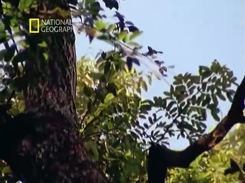 Paraísos Terrenales en Tailandia: La Joya de Oriente