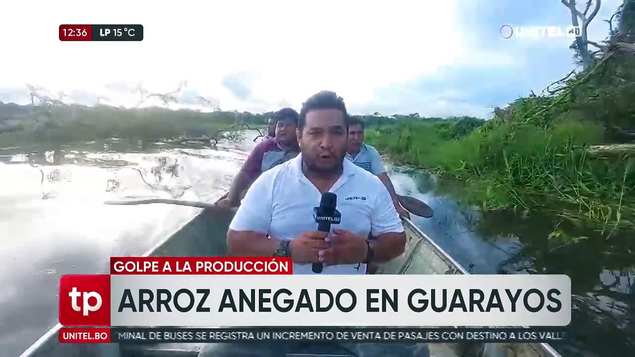 Productores de arroz afectados