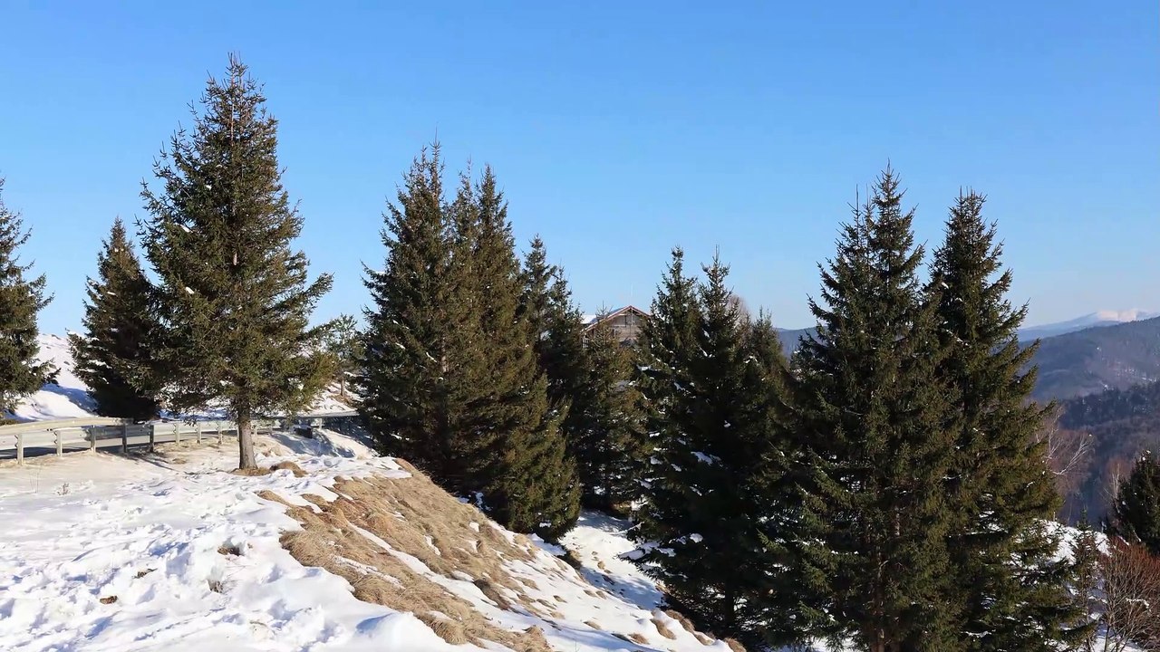 Paltinis, Sibiu: Drone Adventure in the Carpathian Mountains