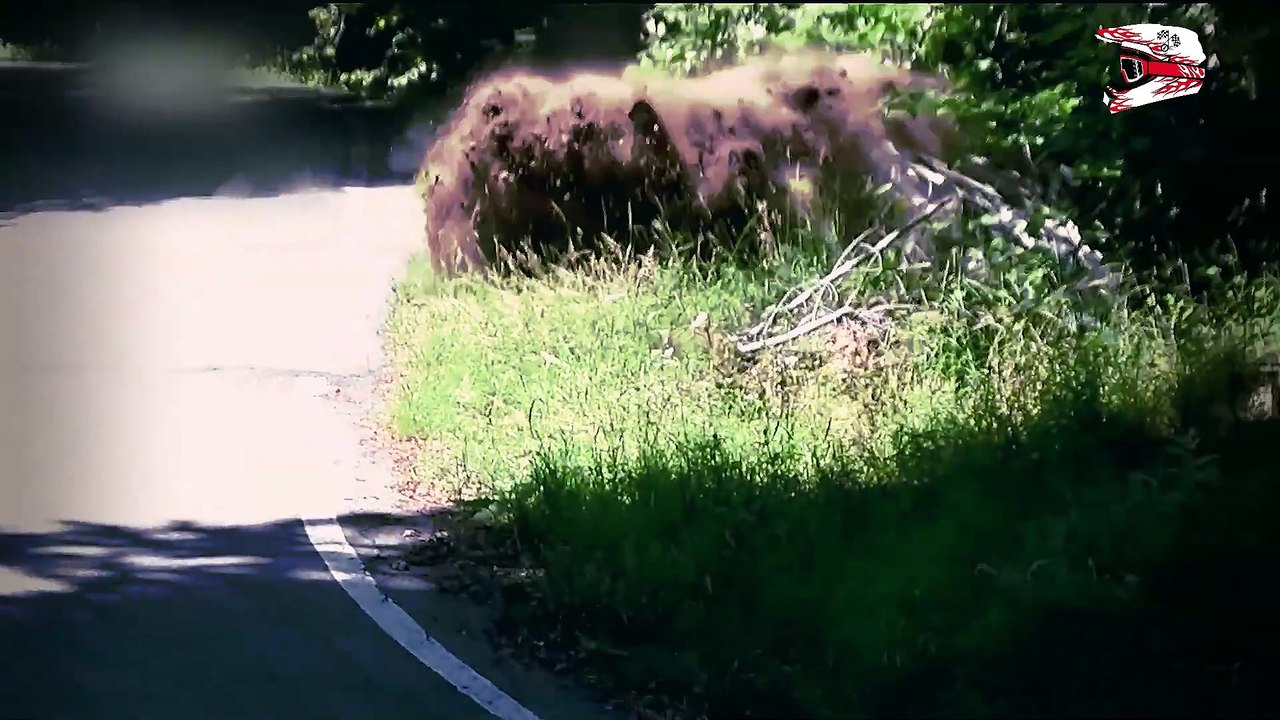 🔥 Ultimate Rally Crashes & MAX Attack! 🚗💥 Extreme Moments! [Brum Brum Video]