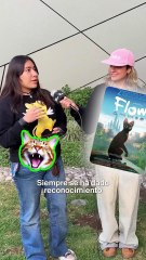 ¿Cuál es la Mejor Película del Año? Descubre la Opinión del Público 🎬