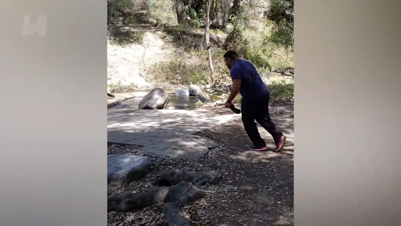 Crazy Funny Fails You Need To See | Try Not To Laugh