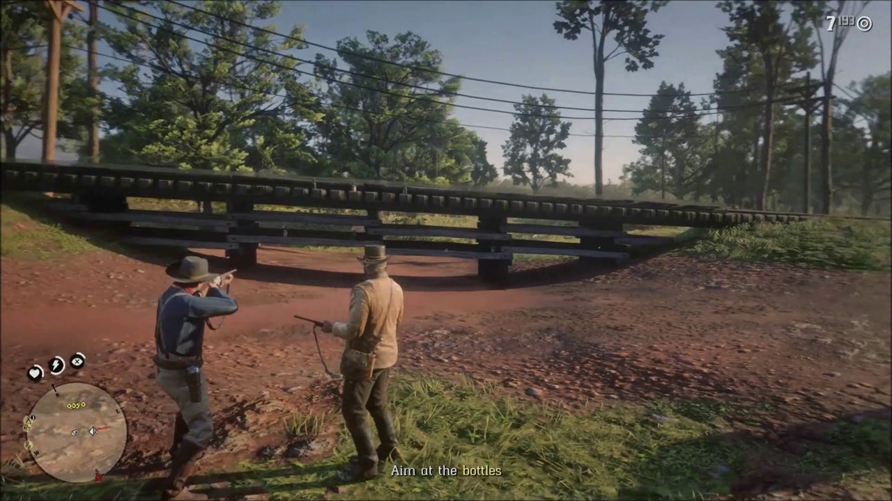 RDR 2: C2 # 12 - Sharpshooter