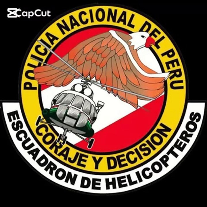 Helicóptero MI 17/171
