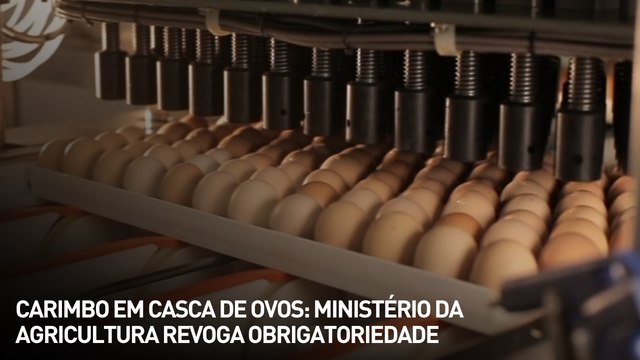 Carimbo em casca de ovos: Ministério da Agricultura revoga obrigatoriedade