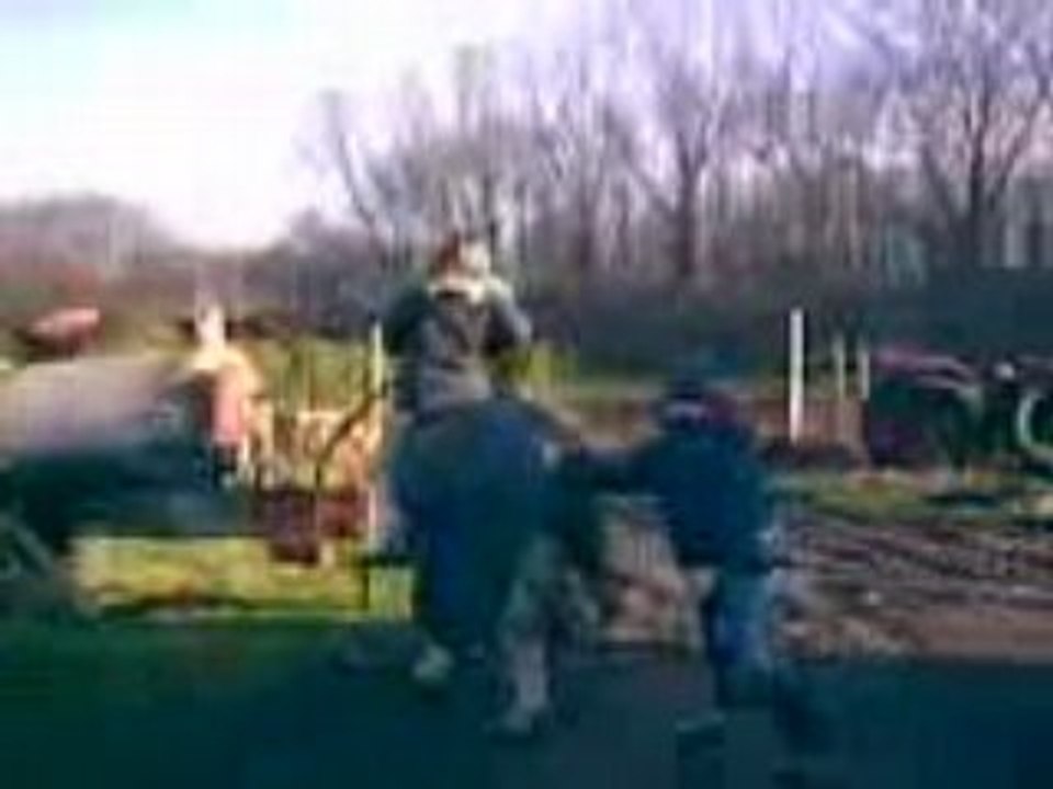 video de idiots