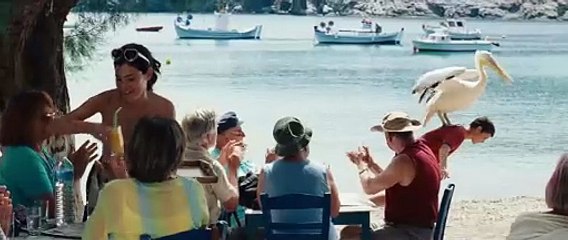 Nicostratos, le pélican