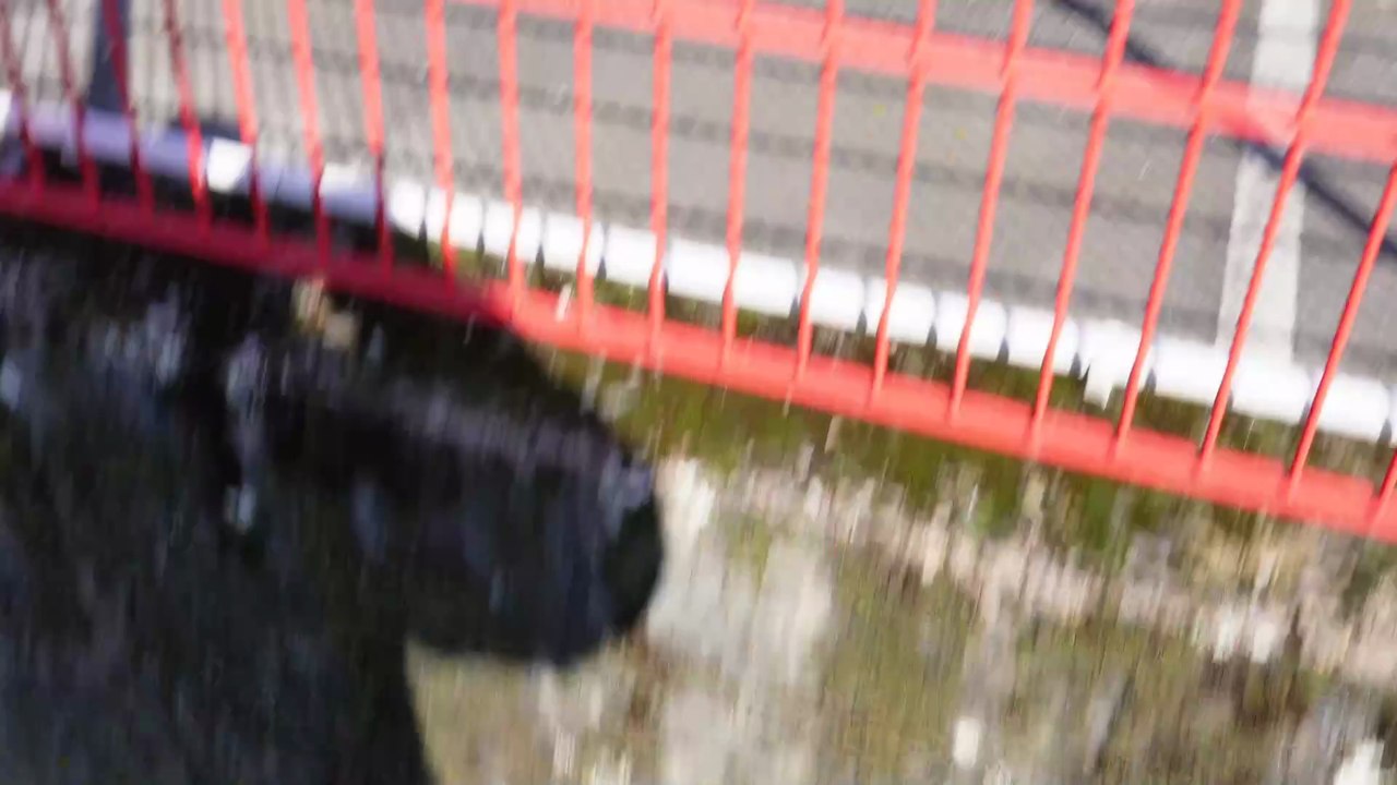 Silag Militärfahrzeuge in Langenfeld