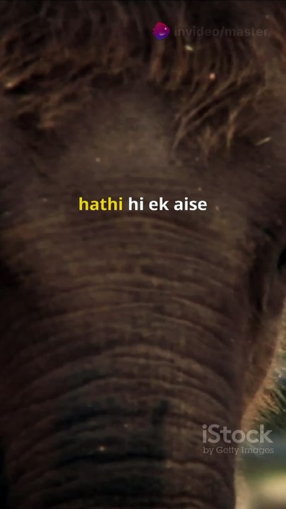 "Elephants can't jump, but they can run and swim like pros! 🐘💨🌊"   #ElephantFacts #Nature #Wildlife #AmazingAnimals