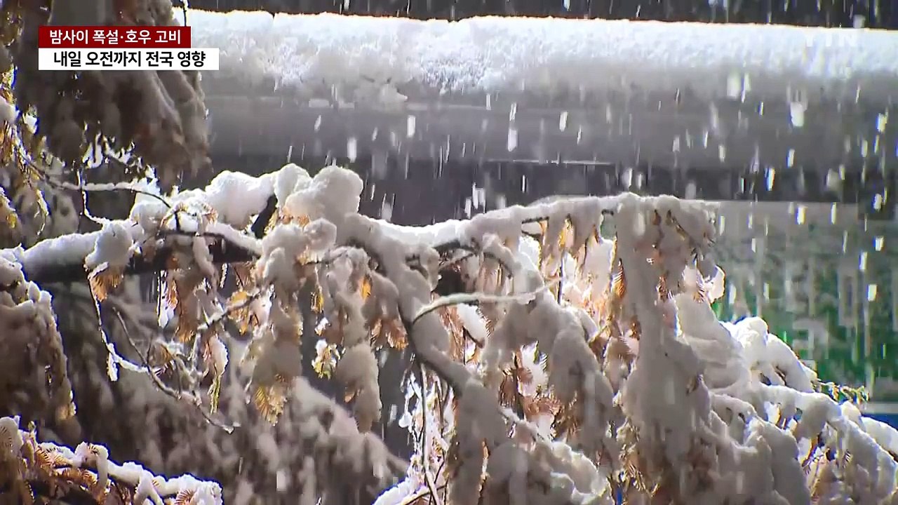 [날씨] 밤사이 폭설·호우 집중...영동 나흘간 1m 눈 폭탄 / YTN