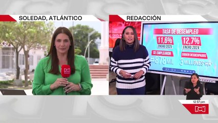 Tasa de desempleo en enero de 2025 fue del 11,6%