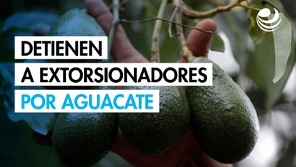Detienen a extorsionadores por limón y aguacate