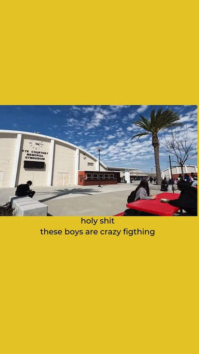 Crazy fight in my school