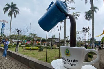 Veracruz ocupa el segundo lugar en producción nacional de café