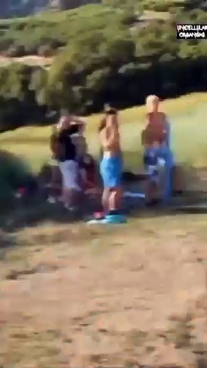 Best fun