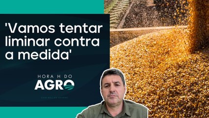 Prejuízo com novo imposto deve chegar a R$ 600 milhões | HORA H DO AGRO