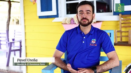 ¡Alpacas en RD! ¿Dónde verlas y cómo sobreviven al calor tropical?