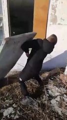 10 Video Meme Acak | Video Lucu Pendek