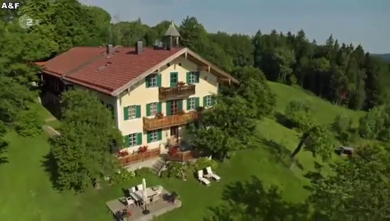 Frühling -44- Ein Zebra im Gepäck