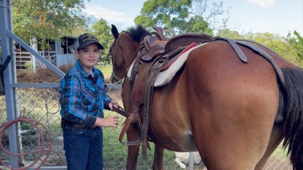 mqn-amor equino- la historia de carlitos y su pasión por los caballos-280225