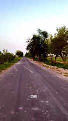 Village Life & Village Nature | Beautiful Rural Scenes of My Village | max RECORDS
