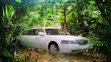 It Takes All Kinds | show | 1969| S15 | Official Clip