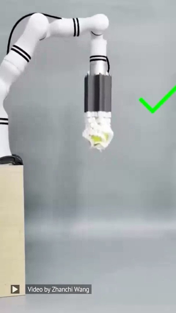 ⁣Octopus-inspired robotic arm