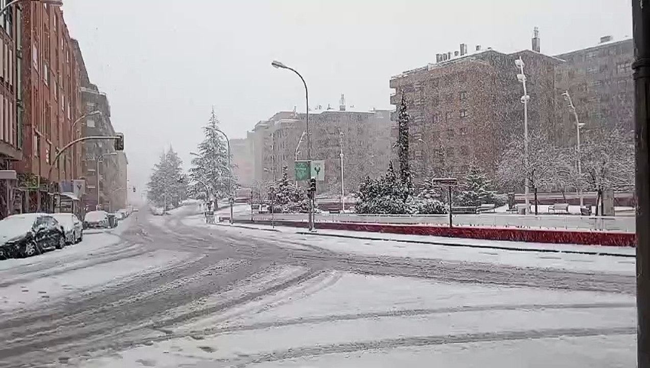 Nieve