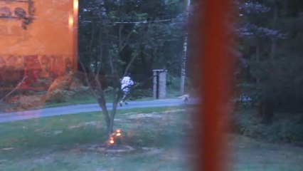 Psycho Dad Axes Laptop (Role Reversal)