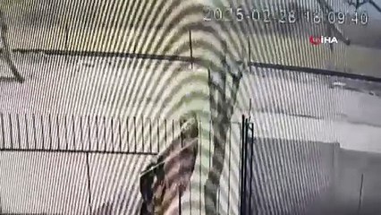4 yaşındaki Nazlı her yerde aranıyor... Yeni görüntüler ortaya çıktı