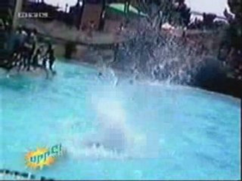 Gags en stock : Gags en serie