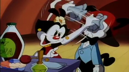 Animaniacs (1993) - The Great Wakkorotti: The Summer Concert