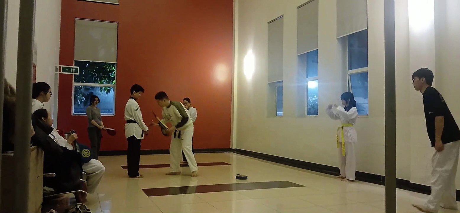 Taekwondo , tkd, tlu  20250224_184411