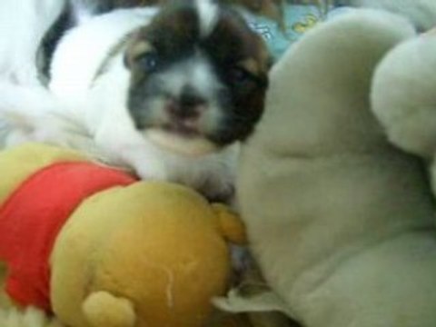 Gros plan sur bébé