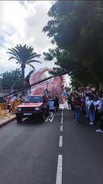 Un árbol impide el paso de la Reina del Carnaval de Las Palmas de Gran Canaria