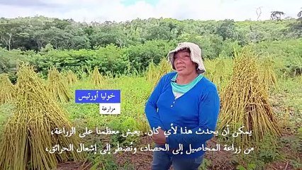 مزارعون بوليفيون أمام معضلة صعبة بسبب حرائق الغابات