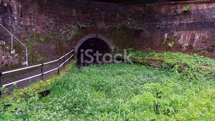 The haunted spot you should never go to: the "Old Inunaki Tunnel"