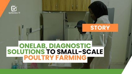 Agri Actu: OneLab, diagnostic Solutions to Small-scale Poultry Farming