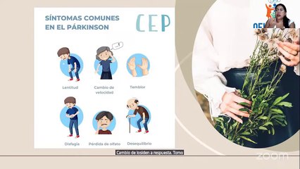Parkinson -sugerencias para una mejor calidad de vida