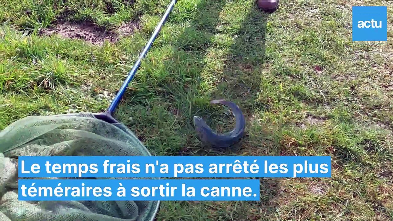 Ouverture de la pêche à Flers