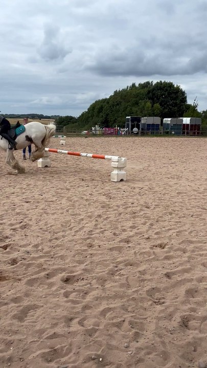 Hilarious horse-jumping fail proves the stress of seeing a stride is no joke