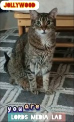 ILU FROM AMLU - MOTIVATING WORDS FOR THE DAY