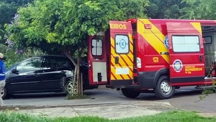 Idoso de 74 anos é socorrido pelo Siate após cair de árvore