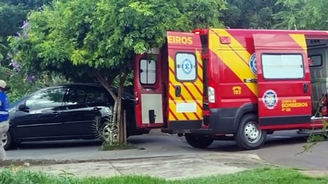 Idoso de 74 anos é socorrido pelo Siate após cair de árvore