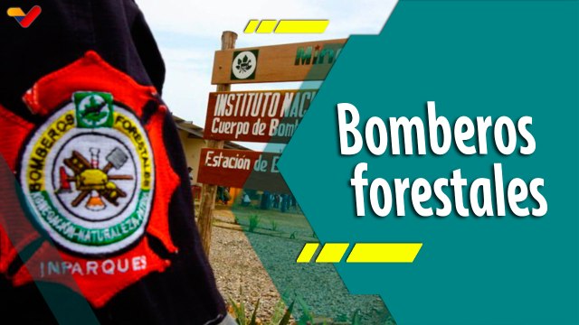 Punto Verde | Bomberos Forestales: Preparación y respuesta ante los fenómenos climáticos extremos