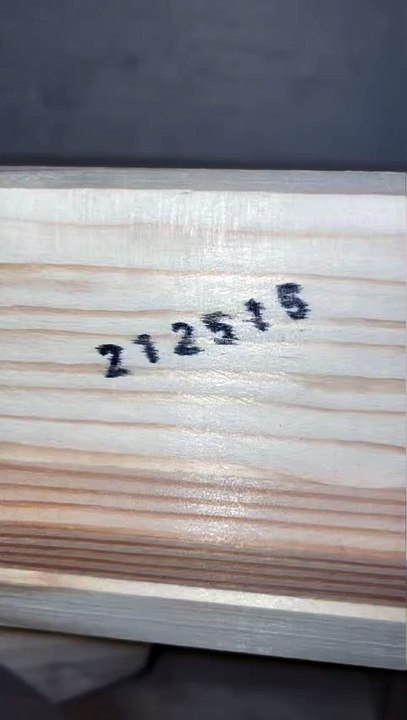 wooden RC car kit