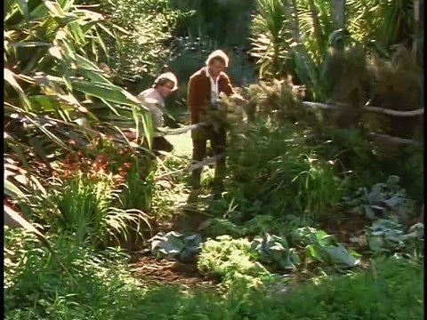 Таинственный остров 5 серия ( 1995 ).