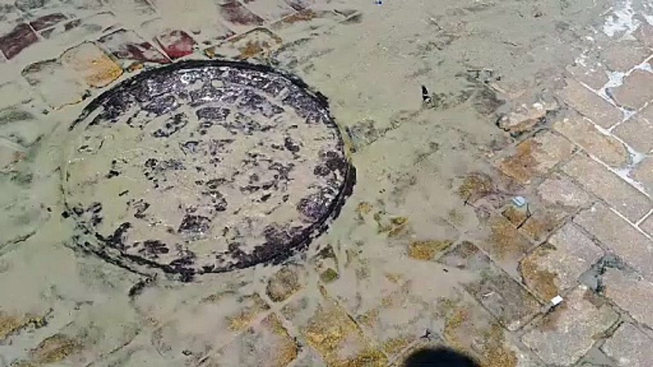 Praia famosa de Florianópolis sofre com esgoto em direção ao mar durante o carnaval