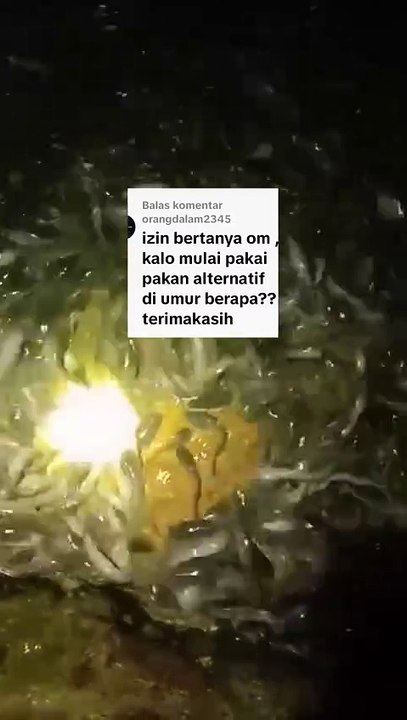 Jangan bertanya seperti ini karena itu salah, sini saya luruskan